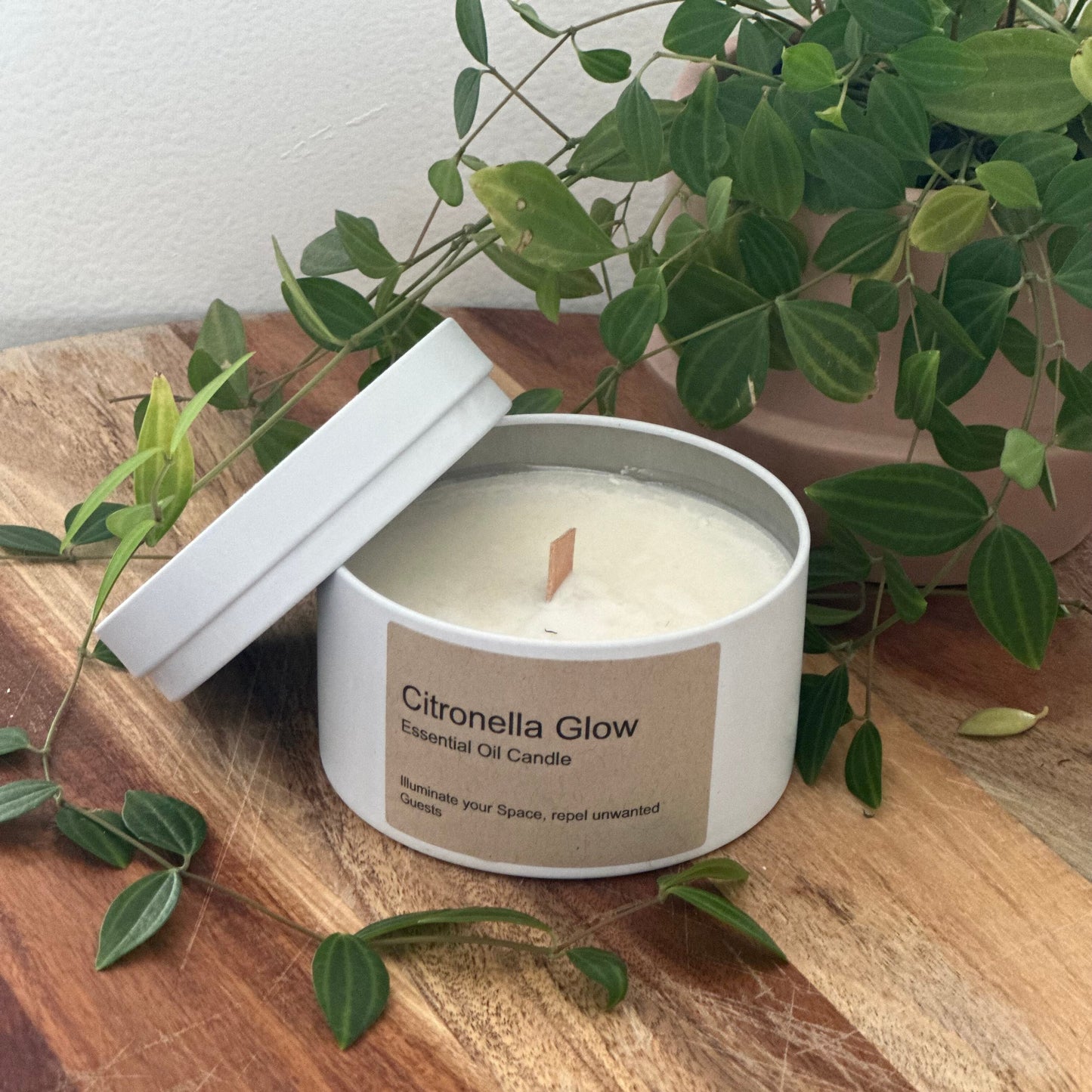 Citronella Travel Candle 250g